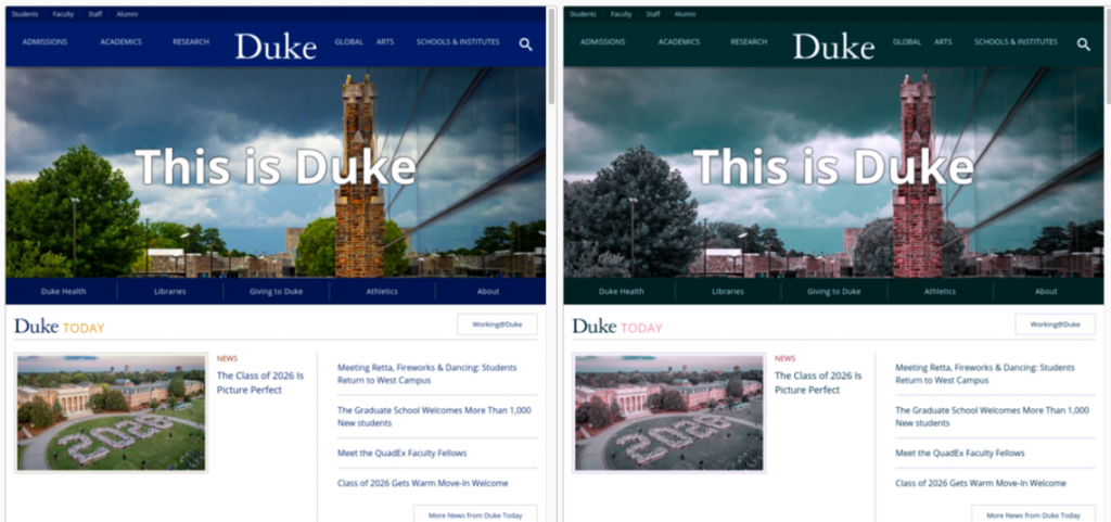 Screenshot showing how Duke.edu looks using the tritanopia filter