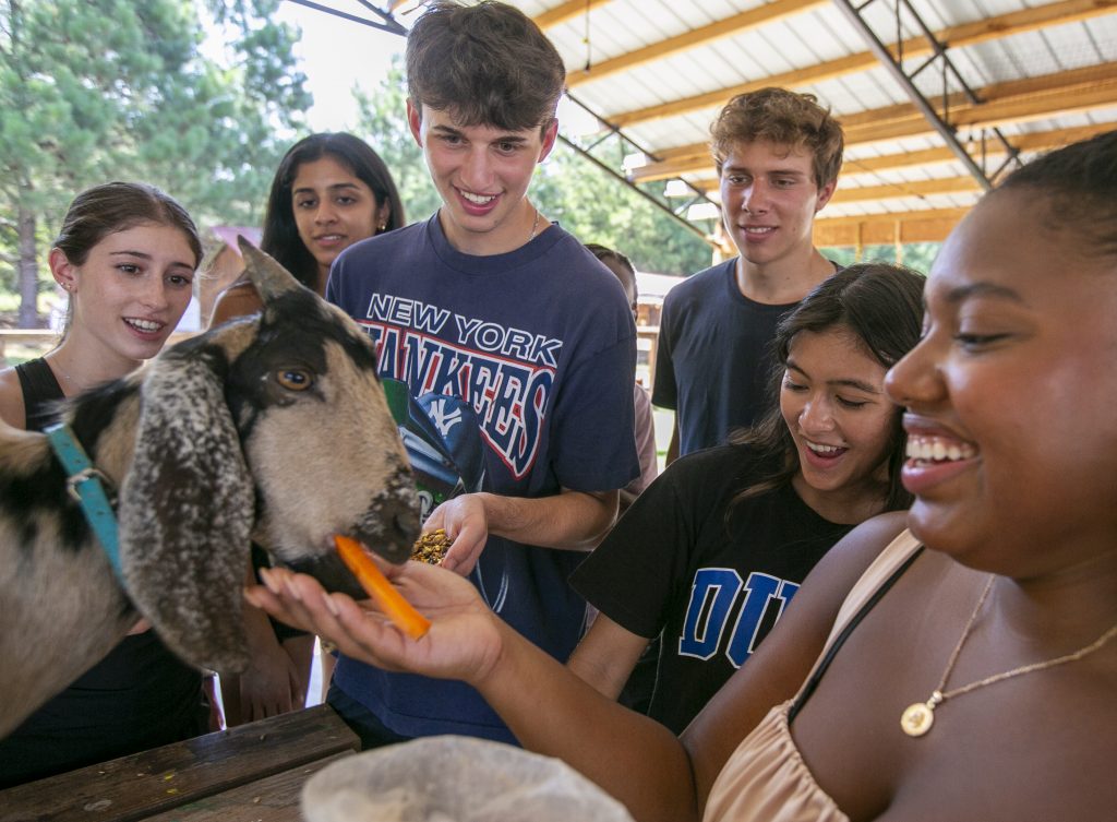 A group of smiling high school students feed and pet a goat.
